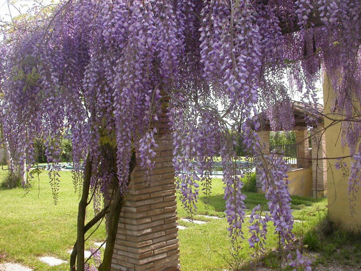 Casavacanze Sant'Eugenia Attigliano Εξωτερικό φωτογραφία