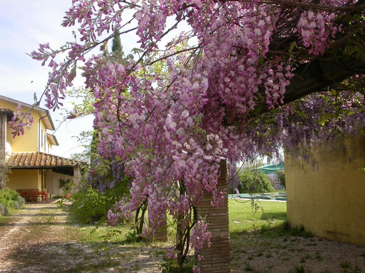 Casavacanze Sant'Eugenia Attigliano Εξωτερικό φωτογραφία